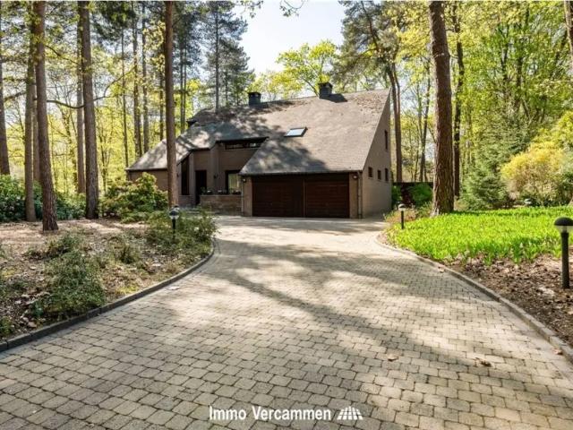 Maison vente à Keerbergen, Brabant