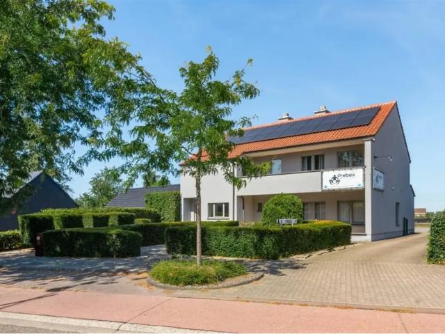 Maison vente à Hasselt, Limburg