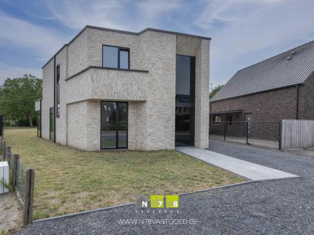 Maison vente à Kinrooi, Limburg