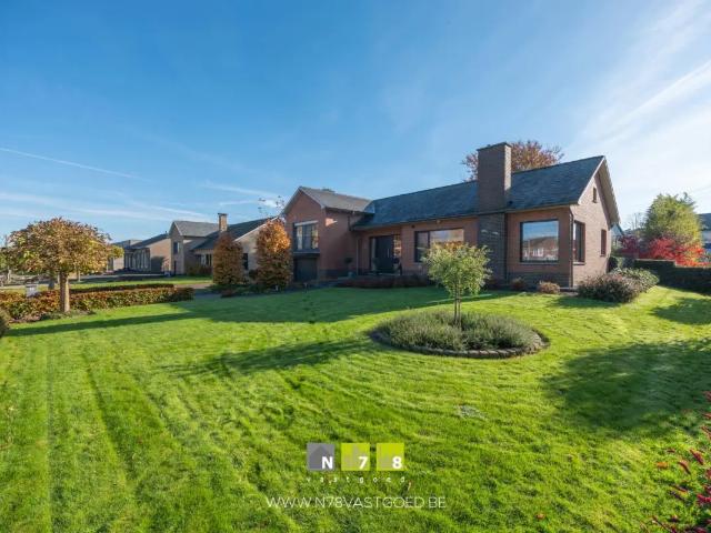 Maison vente à Kinrooi, Limburg