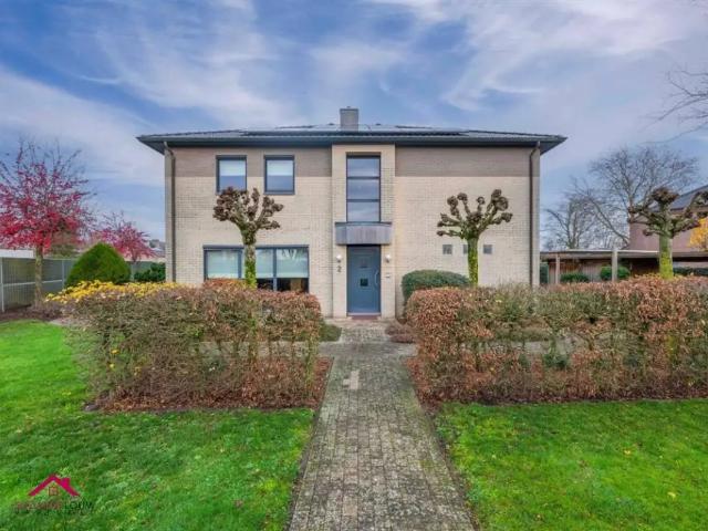 Maison vente à Kinrooi, Limburg