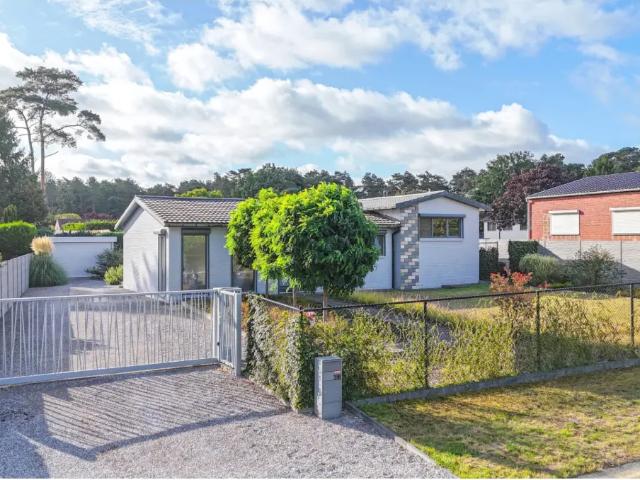 Maison vente à Beringen, Limburg
