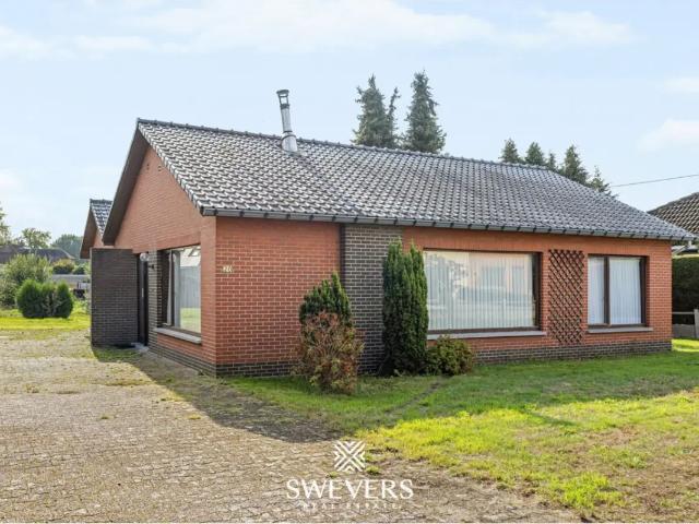 Maison vente à Koersel, Beringen
