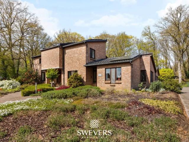 Maison vente à Beringen, Limburg