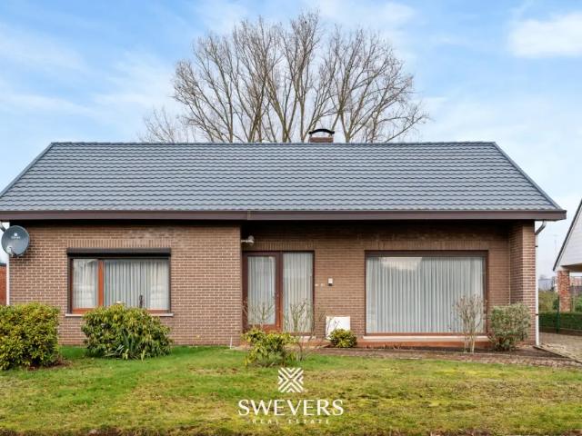 Maison vente à Beringen, Limburg