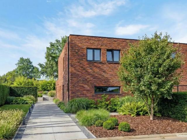 Maison vente à Beringen, Limburg