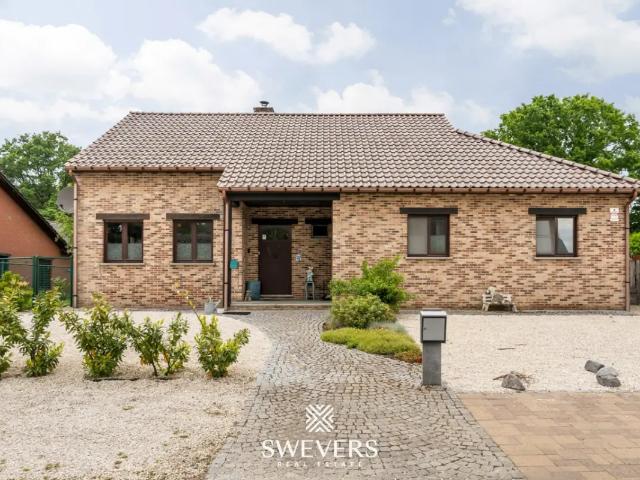 Maison vente à Beringen, Limburg