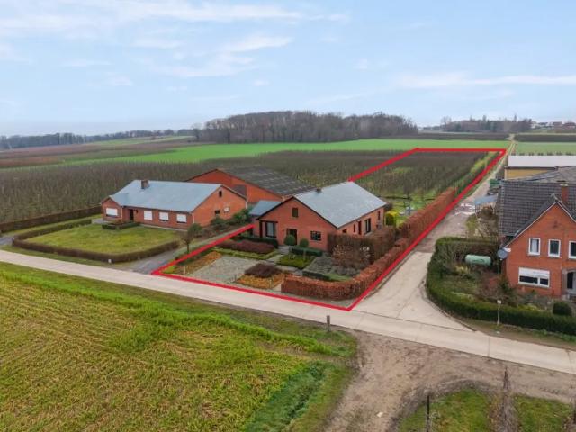 Maison vente à Kortenaken, Brabant