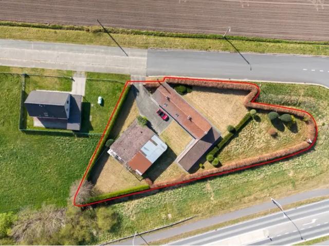 Maison vente à Kruishoutem, Oost-Vlaanderen