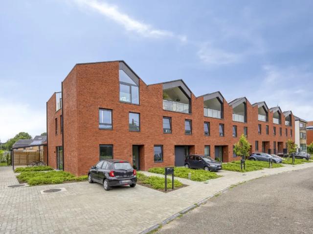 Maison vente à Tienen, Brabant
