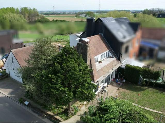 Maison vente à Halle, Brabant