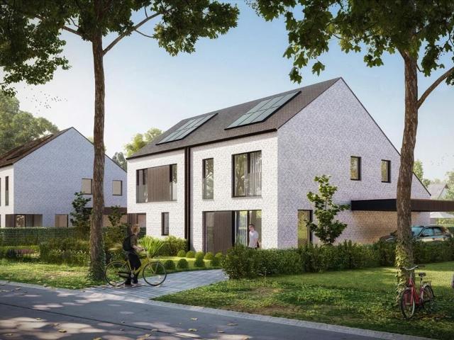 Maison vente à Lille, Antwerpen