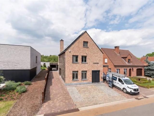 Maison vente à Lille, Antwerpen