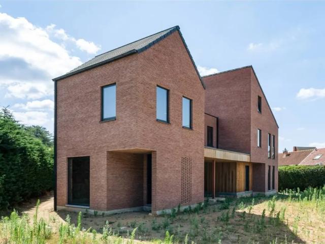 Maison vente à Lille, Antwerpen