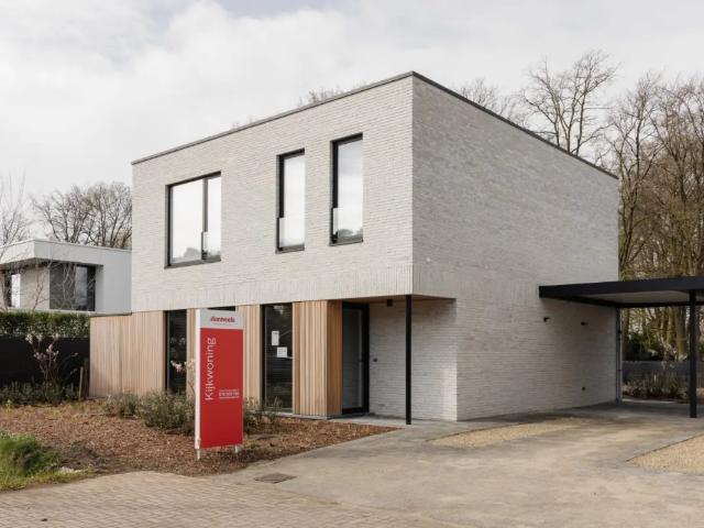 Maison vente à Lille, Antwerpen