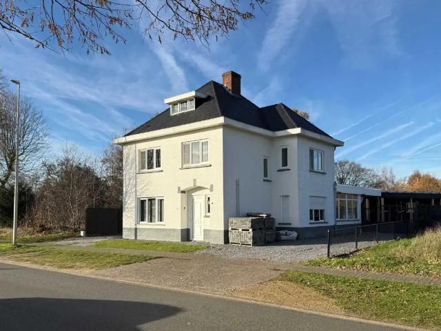 Maison vente à Lommel, Limburg