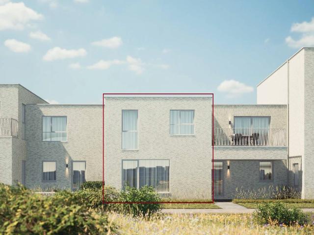 Maison vente à Lommel, Limburg