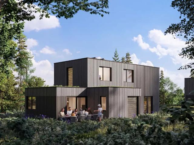 Maison vente à Maaseik, Limburg