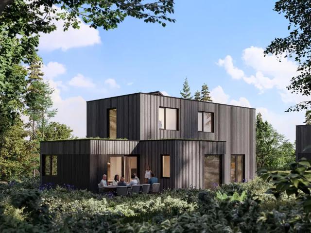 Maison vente à Maaseik, Limburg