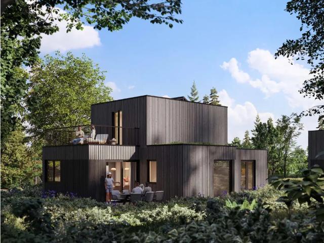 Maison vente à Maaseik, Limburg