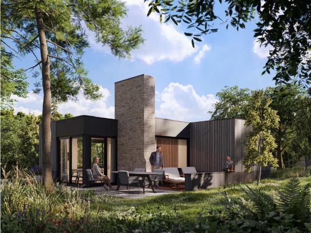 Maison vente à Maaseik, Limburg