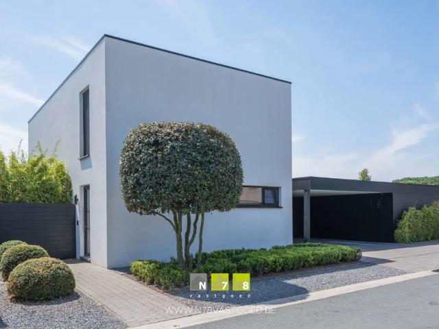Maison vente à Maaseik, Limburg