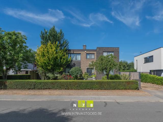 Maison vente à Maaseik, Limburg