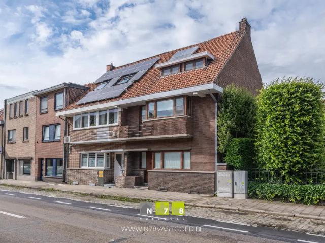 Maison vente à Maaseik, Limburg