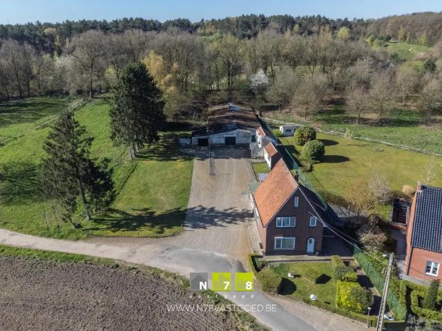 Maison vente à Maaseik, Limburg