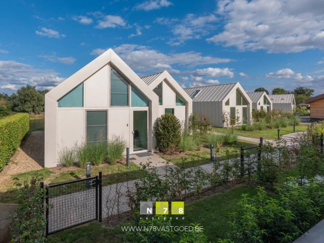 Maison vente à Maaseik, Limburg