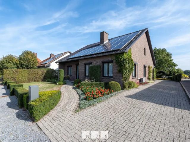 Maison vente à Opoeteren, Maaseik