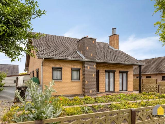 Maison vente à Maaseik, Limburg