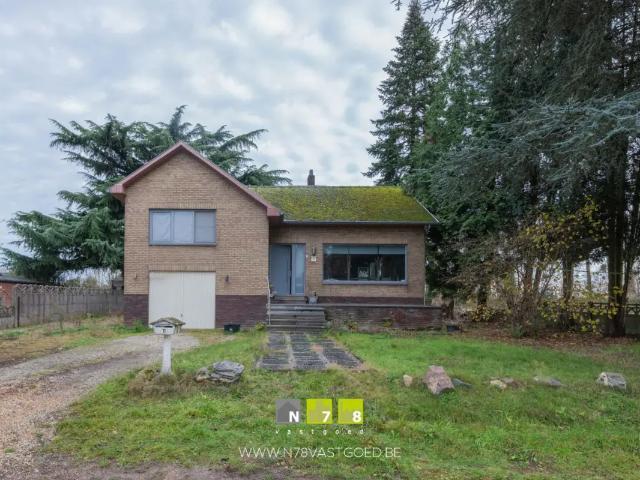 Maison vente à Maasmechelen, Limburg