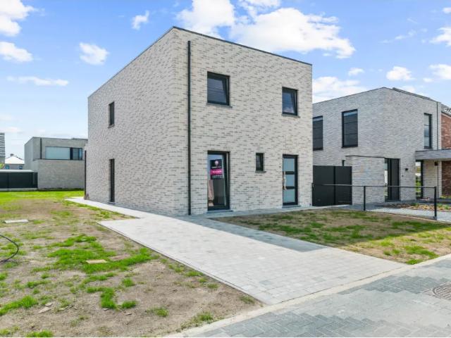 Maison vente à Maasmechelen, Limburg