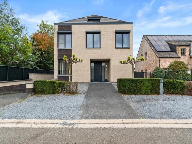 Maison vente à Maasmechelen, Limburg