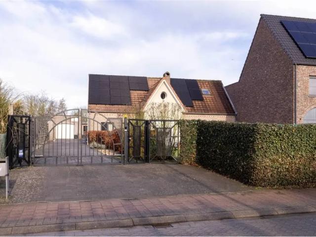 Maison vente à Malle, Antwerpen