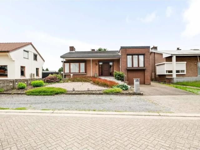 Maison vente à Meerhout, Antwerpen