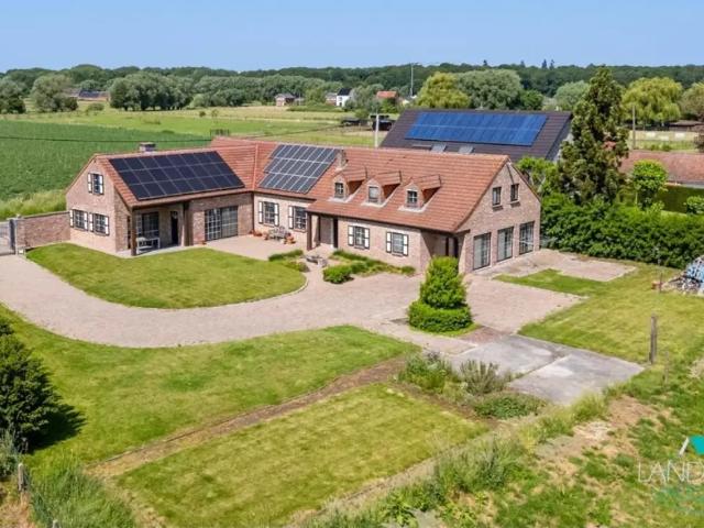 Maison vente à Merchtem, Brabant