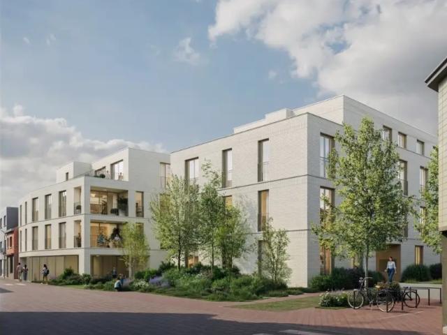 Maison vente à Merchtem, Brabant