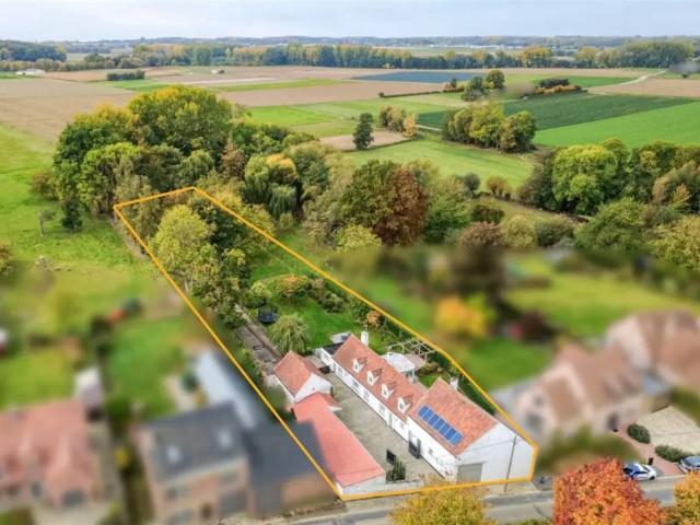 Maison vente à Merchtem, Brabant