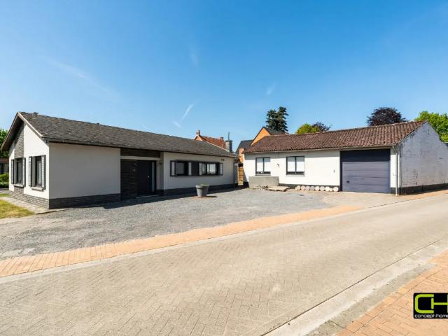 Maison vente à Deinze, Oost-Vlaanderen
