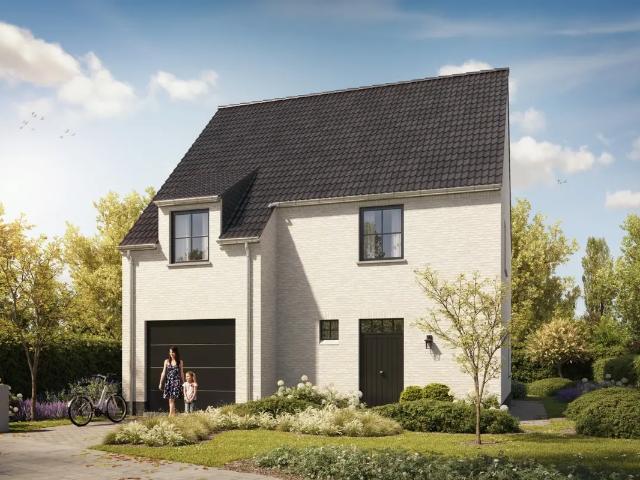 Maison vente à Tielt, West-Vlaanderen