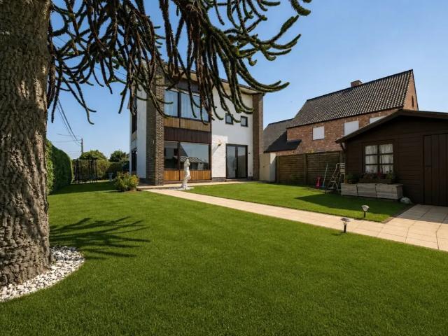 Maison vente à Tielt, West-Vlaanderen