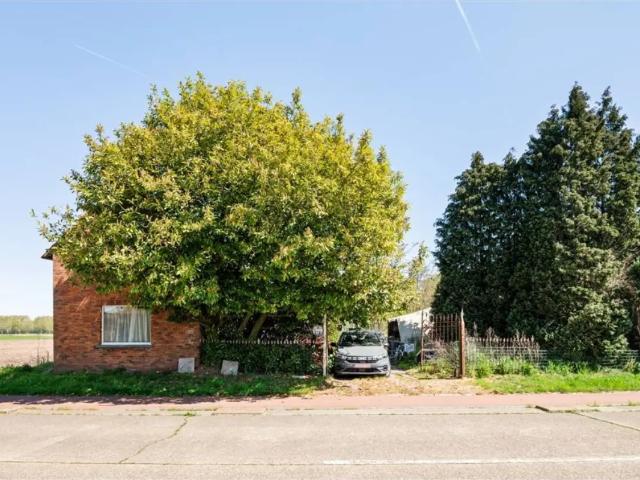 Maison vente à Lokeren, Oost-Vlaanderen