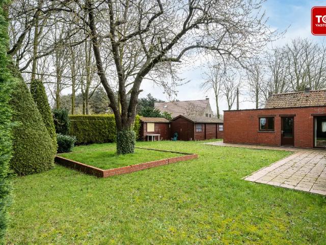 Maison vente à Lokeren, Oost-Vlaanderen