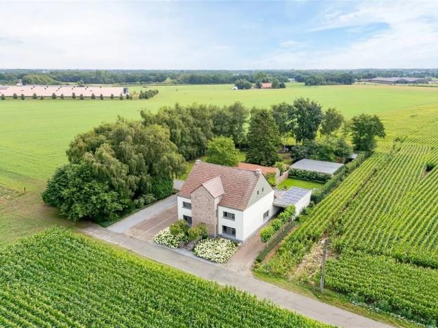 Maison vente à Kinrooi, Limburg