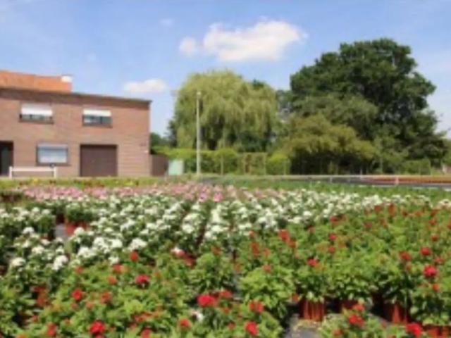 Maison vente à Aalst, Oost-Vlaanderen