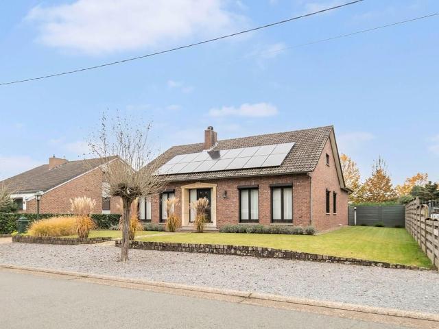 Maison vente à Maaseik, Limburg