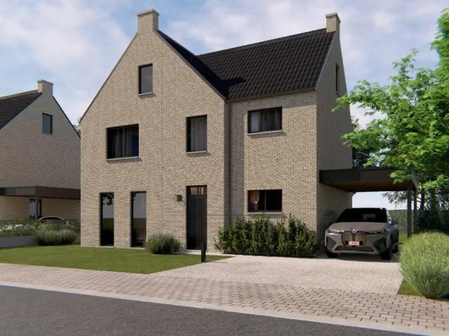 Maison vente à Maaseik, Limburg
