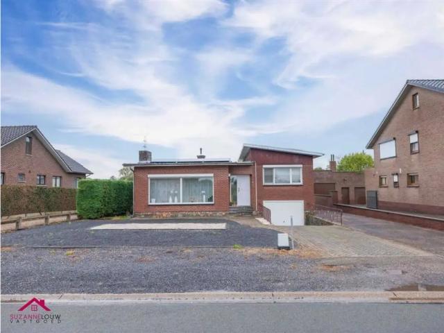 Maison vente à Maaseik, Limburg